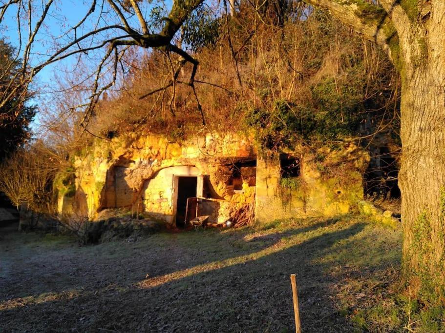 Magnifiques Ecuries Juste Renovees - Domaine De La Mulotiere Villa Langeais Bagian luar foto