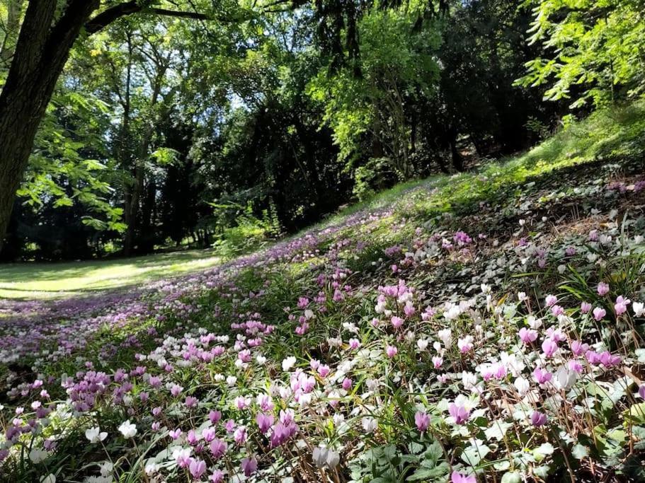 Magnifiques Ecuries Juste Renovees - Domaine De La Mulotiere Villa Langeais Bagian luar foto